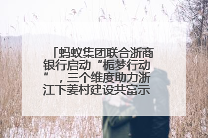 蚂蚁集团联合浙商银行启动“栀梦行动”，三个维度助力浙江下姜村建设共富示范区示范点