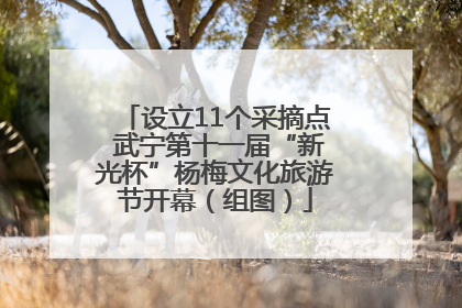 设立11个采摘点 武宁第十一届“新光杯”杨梅文化旅游节开幕（组图）