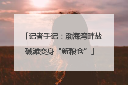 记者手记：渤海湾畔盐碱滩变身“新粮仓”
