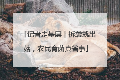 记者走基层｜拆袋就出菇，农民育菌真省事