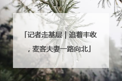 记者走基层｜追着丰收，麦客夫妻一路向北