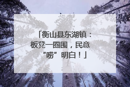 衡山县东湖镇：板凳一圈围，民意“唠”明白！