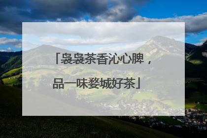 袅袅茶香沁心脾，品一味婺城好茶