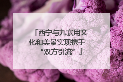 西宁与九寨用文化和美景实现携手“双方引流”
