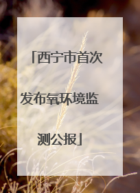 西宁市首次发布氧环境监测公报