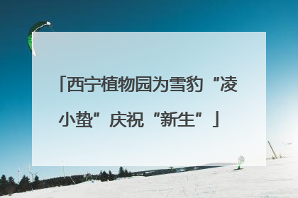 西宁植物园为雪豹“凌小蛰”庆祝“新生”