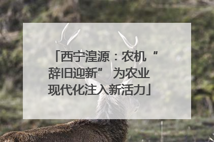 西宁湟源：农机“辞旧迎新” 为农业现代化注入新活力