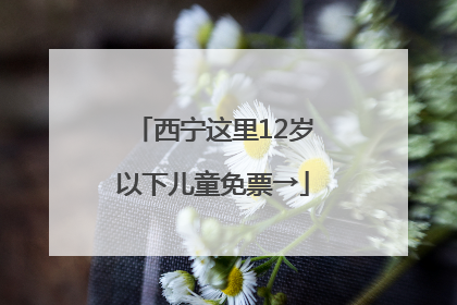 西宁这里12岁以下儿童免票→