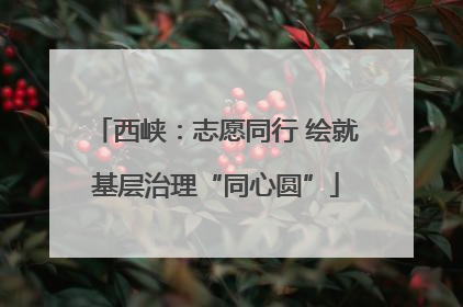 西峡：志愿同行 绘就基层治理“同心圆”