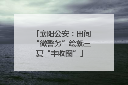 襄阳公安：田间“微警务”绘就三夏“丰收图”