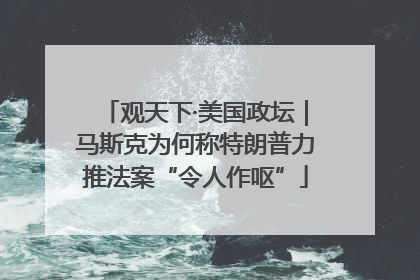 观天下·美国政坛｜马斯克为何称特朗普力推法案“令人作呕”