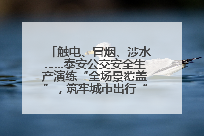 触电、冒烟、涉水……泰安公交安全生产演练“全场景覆盖”，筑牢城市出行“安全生命线”