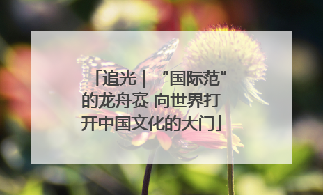 追光｜“国际范”的龙舟赛 向世界打开中国文化的大门