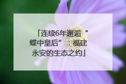 连续6年邂逅“蝶中皇后”：福建永安的生态之约