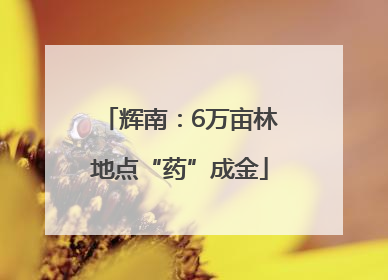 辉南：6万亩林地点“药”成金