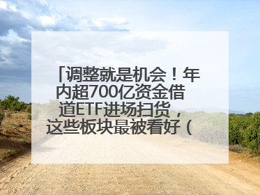 调整就是机会！年内超700亿资金借道ETF进场扫货，这些板块最被看好（附名单）