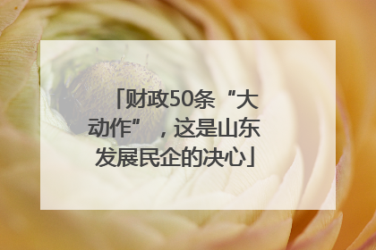 财政50条“大动作”，这是山东发展民企的决心