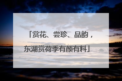 赏花、尝珍、品韵，东湖赏荷季有颜有料