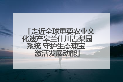 走近全球重要农业文化遗产皋兰什川古梨园系统 守护生态瑰宝 激活发展动能