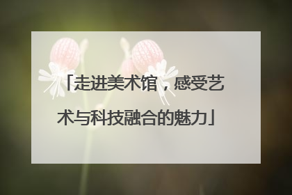 走进美术馆，感受艺术与科技融合的魅力