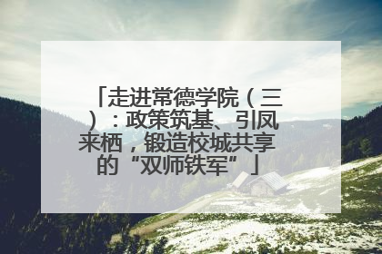 走进常德学院（三）：政策筑基、引凤来栖，锻造校城共享的“双师铁军”