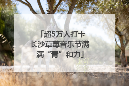 超5万人打卡 长沙草莓音乐节满满“青”和力
