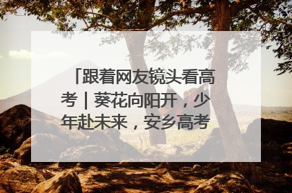 跟着网友镜头看高考｜葵花向阳开，少年赴未来，安乡高考首日的希望图景