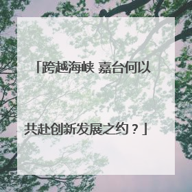 跨越海峡 嘉台何以共赴创新发展之约？