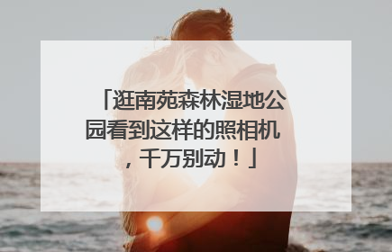 逛南苑森林湿地公园看到这样的照相机，千万别动！