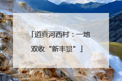 道真河西村：一地双收“新丰景”