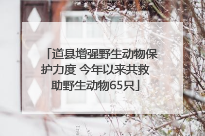 道县增强野生动物保护力度 今年以来共救助野生动物65只