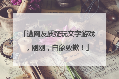 遭网友质疑玩文字游戏，刚刚，白象致歉！