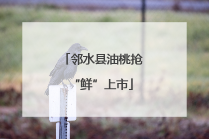 邻水县油桃抢“鲜”上市