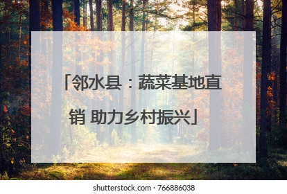 邻水县：蔬菜基地直销 助力乡村振兴