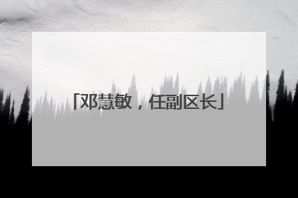 邓慧敏，任副区长