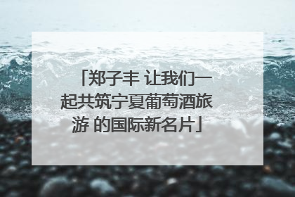 郑子丰 让我们一起共筑宁夏葡萄酒旅游 的国际新名片