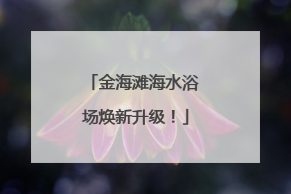 金海滩海水浴场焕新升级！