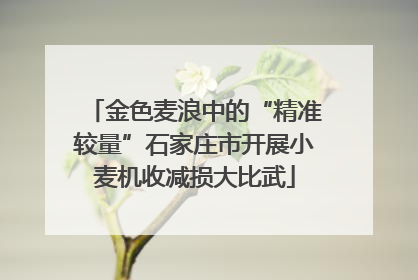 金色麦浪中的“精准较量”石家庄市开展小麦机收减损大比武