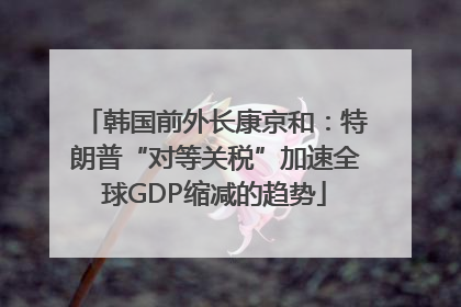 韩国前外长康京和：特朗普“对等关税”加速全球GDP缩减的趋势
