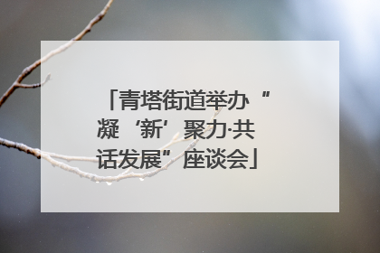 青塔街道举办“凝‘新’聚力·共话发展”座谈会