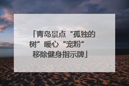青岛景点“孤独的树”暖心“宠粉” 移除健身指示牌