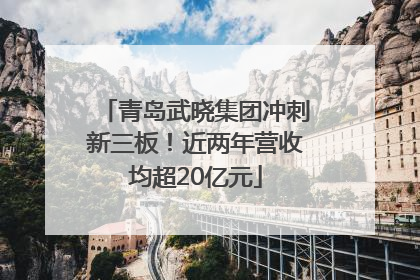青岛武晓集团冲刺新三板！近两年营收均超20亿元