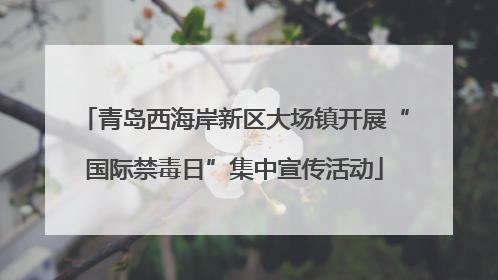 青岛西海岸新区大场镇开展“国际禁毒日”集中宣传活动