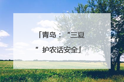 青岛：“三夏”护农话安全