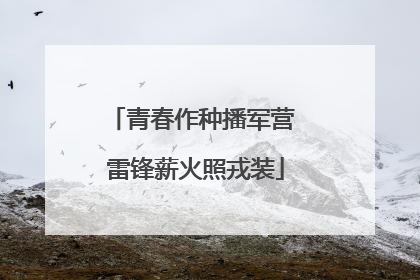 青春作种播军营 雷锋薪火照戎装