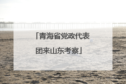 青海省党政代表团来山东考察