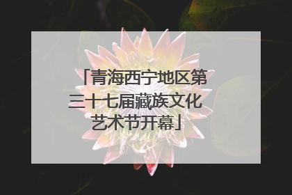 青海西宁地区第三十七届藏族文化艺术节开幕