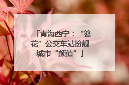 青海西宁：“簪花”公交车站扮靓城市“颜值”