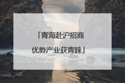 青海赴沪招商 优势产业获青睐