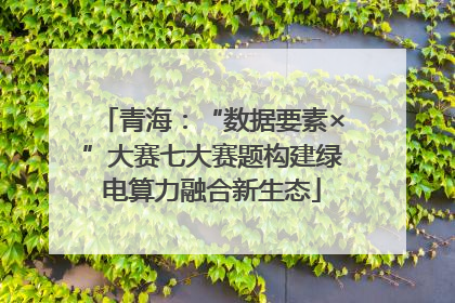 青海：“数据要素×”大赛七大赛题构建绿电算力融合新生态